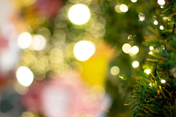 Leaves pine on Blurred bokeh light Christmas tree.background for add text message.