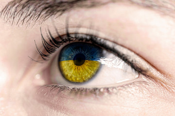 Flag of ukraine reflects in woman green eye - close-up view - election, sport, hope, young, generation	
