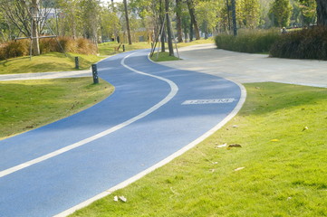 Fototapeta premium The sports track is in the park