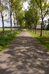 Traditional Dutch country lane between Eerbeek and Loenen, with farms and fields. Originally a swampy area, still reflected in street names ending with dijk (dike)