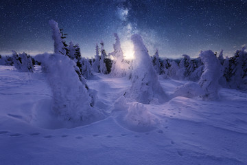 Winterlandschaft mit Sternenhimmel, Milchstraße und verschneite Bäume