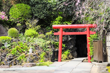 Fototapeta premium Red Torii Gate in Hasedera temple, Kamakura, Japan