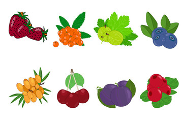 Berry icon set isolated on white background. Strawberries, plum, buckthorn, cherry, gooseberry, rowan, lingonberry, blueberry. Sweet fruit branches. Cartoon flat style. Stock vector illustration