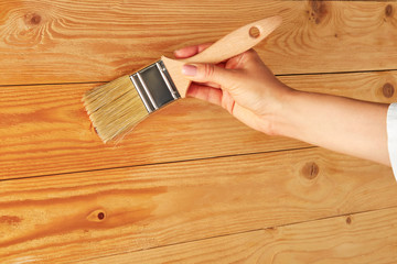 Woman lacquering natural wooden surface with painting brush and transparent lacquer. Minimalist...