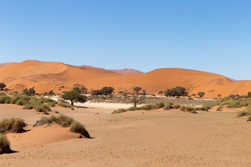 Steppe und Wüste