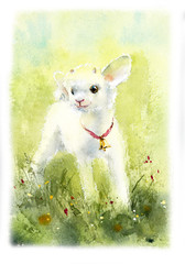 White goat baby on the meadow. Watercolor hand drawn illustration