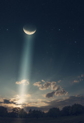 Fototapety na wymiar - Fototapeta24.pl