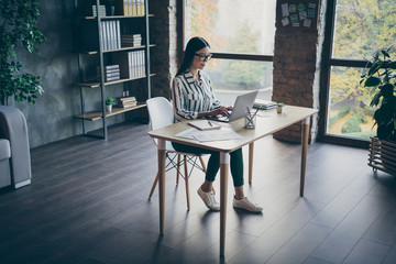 Full length body size photo of cheerful interested smart woman working on reports required by boss...