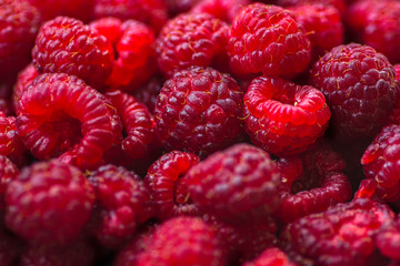 raspberry berry background closeup top view selective focus