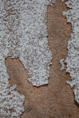 colored particle board