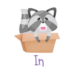 Pretty Little Raccoon Inside Box With Handwritten Inscription In Vector Illustration Cartoon Character