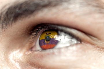 Flag of ecuador reflects in a man brown eye - election, sport, hope, young, generation	