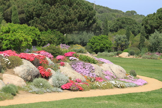 Chrysanth&egrave;mes