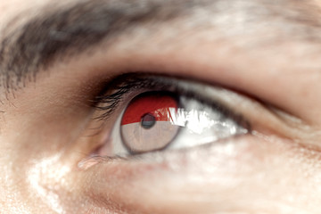 Flag of monaco reflects in a man brown eye - election, sport, hope, young, generation	