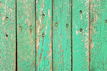 old wooden boards green for background