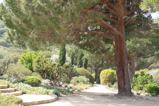 Parc de Saleccia