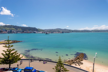Wellington's Oriental Bay on a clear spring day