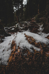 Erster Schnee in Thüringen