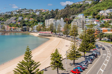 Wellington's Oriental Bay on a clear spring day showing the beach - obrazy, fototapety, plakaty