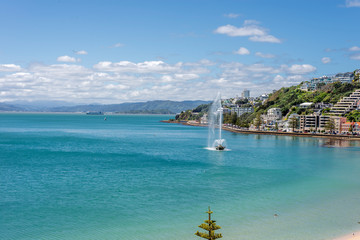 Wellington's Oriental Bay on a clear spring day with interislander arriving