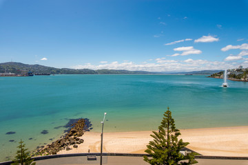 wellington's Oriental Bay
