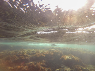 Obraz premium Underwater Las Rotas beach San Antonio Nature reserve in Denia Alicante Spain