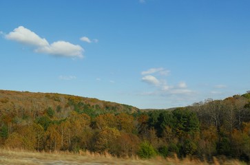 Fototapeta premium Breathtaking colors of autumn in the trees and foliage in Arkansas.