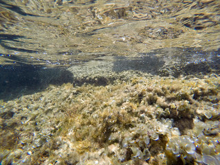 Son Saura beach Minorca Balearic islands Spain