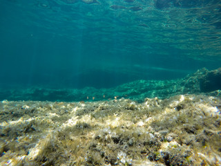 Naklejka na ściany i meble Turquoise water in Minorca island Balearics Spain Underwater image