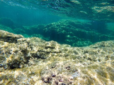 Turquoise water in Minorca island Balearics Spain Underwater image