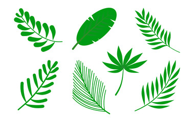 Set of green leave icon on white background. Vector illustration.