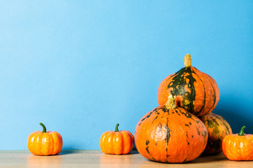 Ripe Pumpkins on a blue background. Harvest concept, Thanksgiving day, cook food, autumn