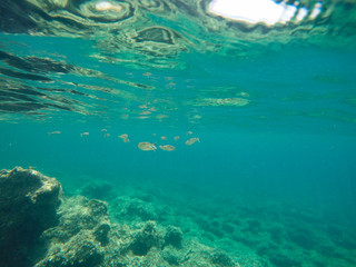 Fototapeta na wymiar Underwater image Biniancolla village Minorca Balearics Spain