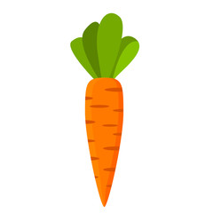 Ripe carrot vegetable. Food for vegeterianets. Flat illustration vector.