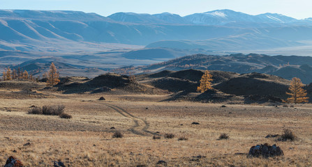Alpine steppe with rare trees and a mountain range in blue haze. Morning soft light.