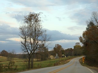 Fototapeta premium Pleasant drive along farms and meadows with winding roads and colorful trees in Arkansas.