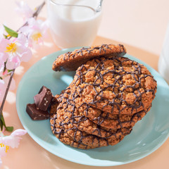Healthy vegetarian cereal oats food, sweet dessert, snacks, culinary products. Oatmeal cookies, with chocolate, with milk for breakfast on a blue turquoise plate on a background of peach pastel color
