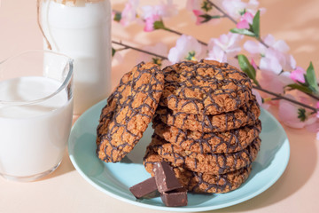 Healthy vegetarian cereal oats food, sweet dessert, snacks, culinary products. Oatmeal cookies, with chocolate, with milk for breakfast on a blue turquoise plate on a background of peach pastel color