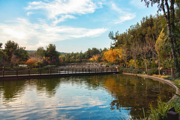 Fototapeta na wymiar Wonderful natural park in autumn season with small lake
