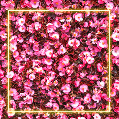 abstract summer bright flowers background with creative fluorescent neon light frame, red and pink colors, floral card