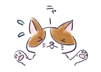 猫 焦る 慌てる　驚く　