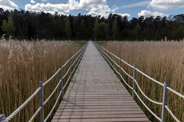 Fototapeta na wymiar Wooden footbridge in wetland, Kazdanga, Latvia.