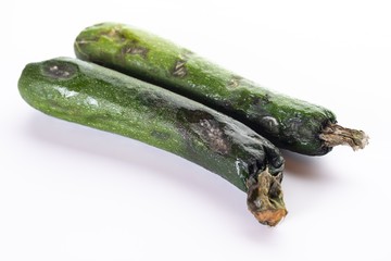 Close up of rotten zucchini