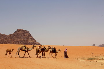 Fototapeta na wymiar Jordania, desierto de Wadi Rum