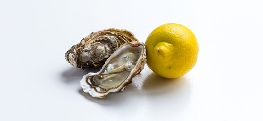 huitre de marennes oléron pour repas de famille durant les fetes de fin d'année 