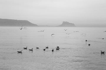 Albir beach on the Mediterranean coast of Spain Alfaz del  Pi
