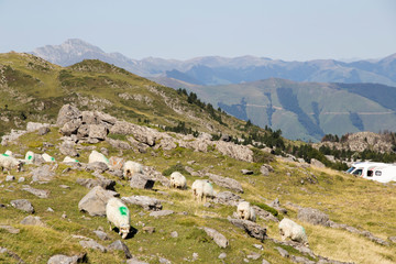 Fototapeta na wymiar Valle de Roncal landscape in Navarre Spain