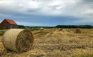 Summer storm looms over harvested hay field with hay bales in the Kempen area, Belgium