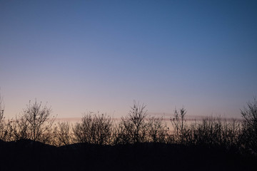Fototapeta premium Dusk picture of the sky with silhouette of the trees and bushes.