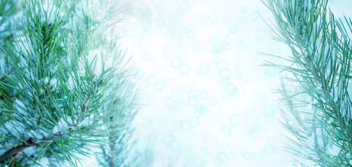 Winter christmas background with copy space, bokeh, snowflakes. Snowy landscape with fir branches. Blue toning